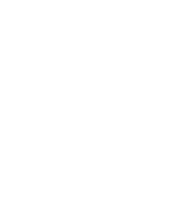 Dubai Logo