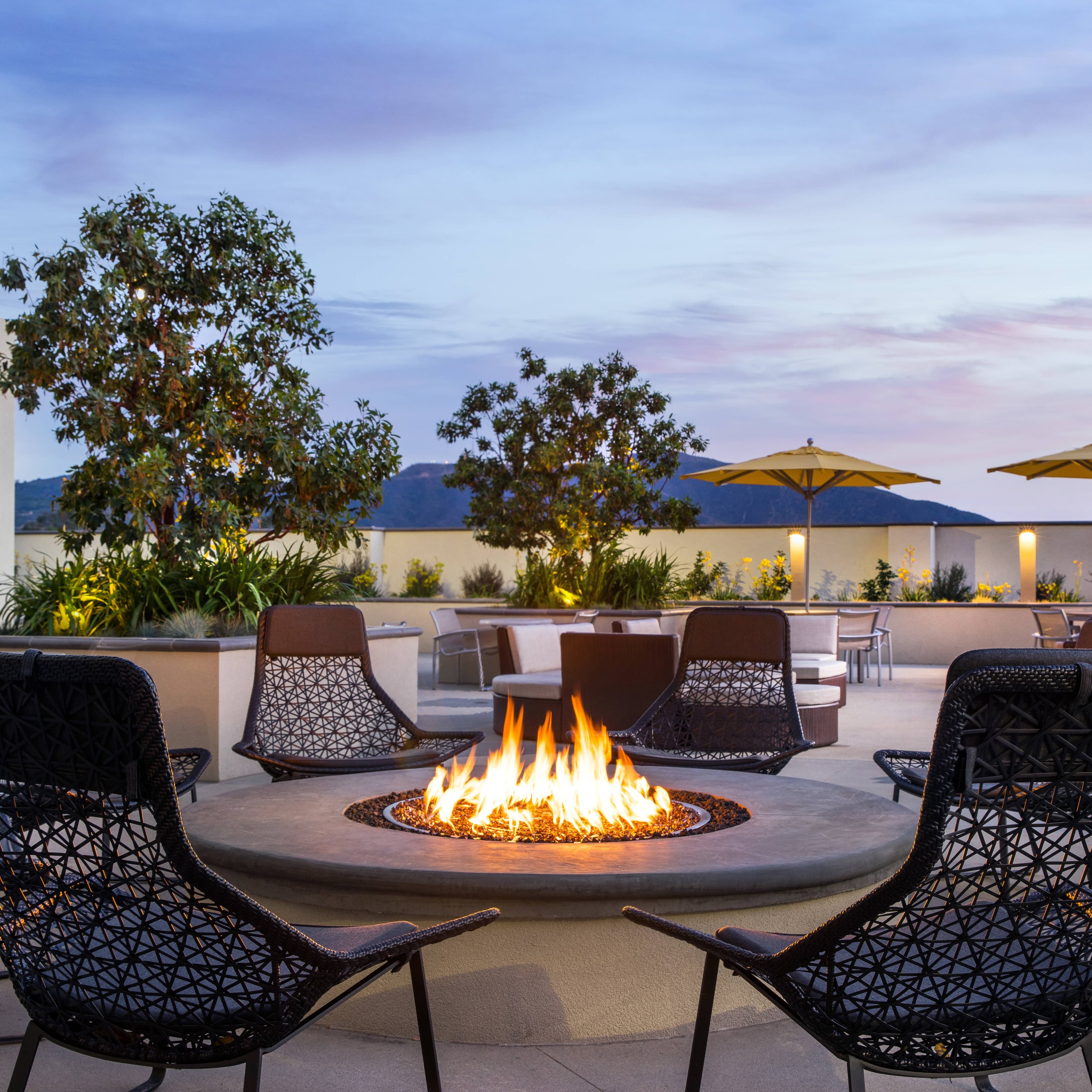 SpringHill Suites Los Angeles Burbank/Downtown