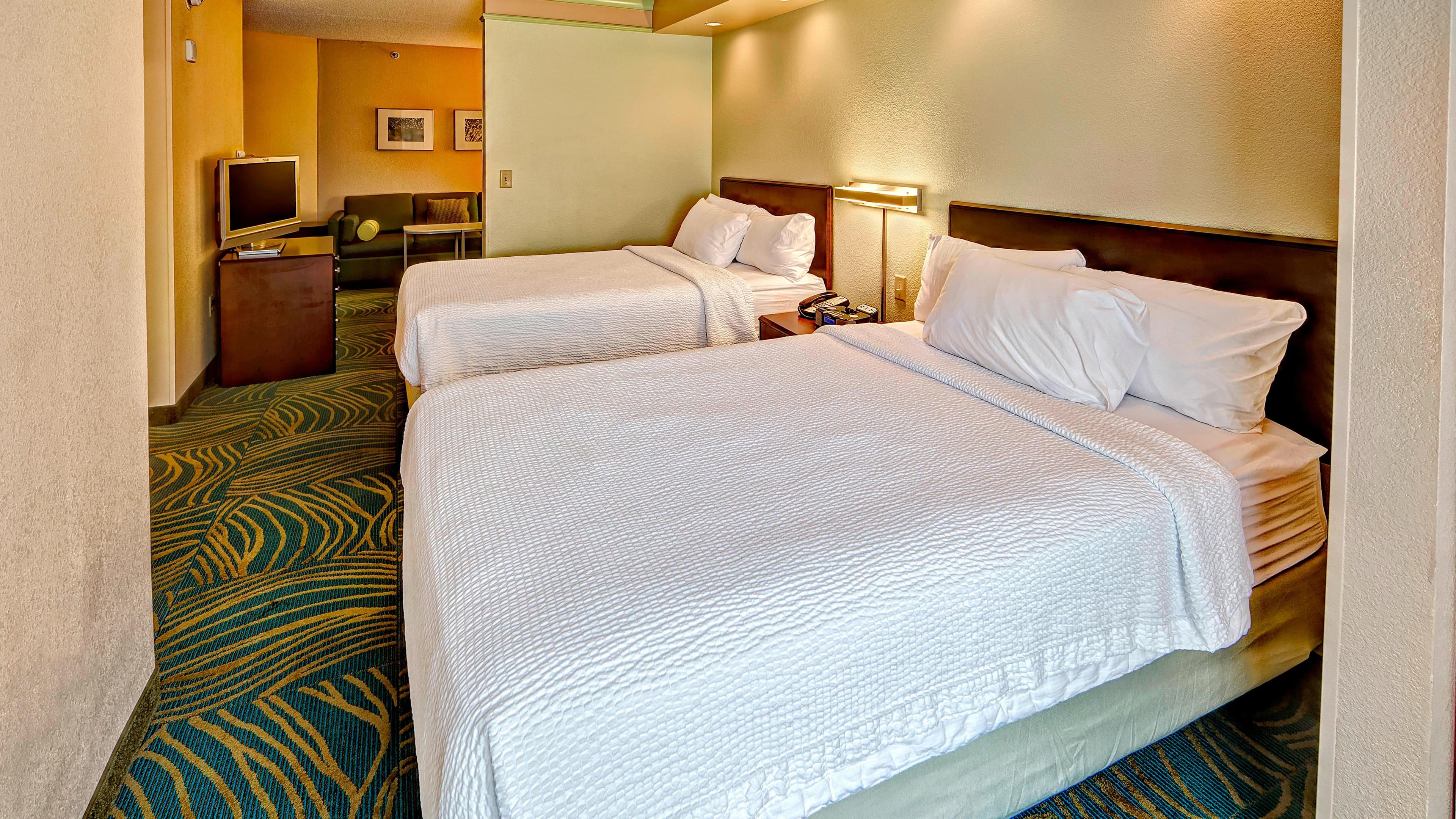 Suite - Image 1