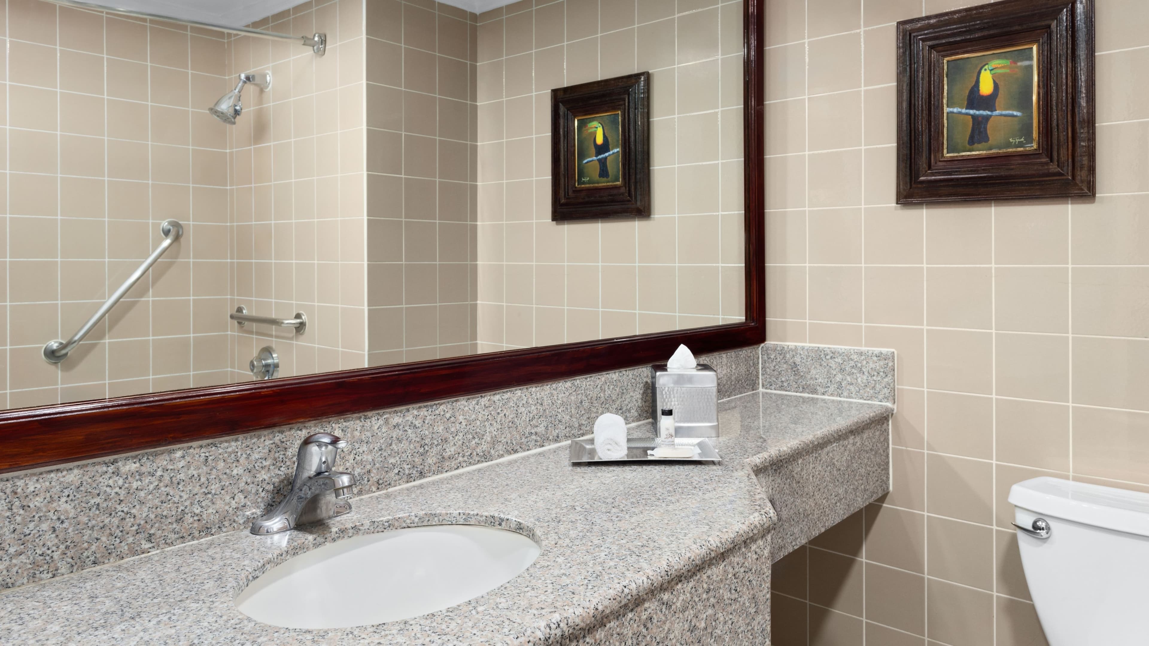 Standard - Image 6