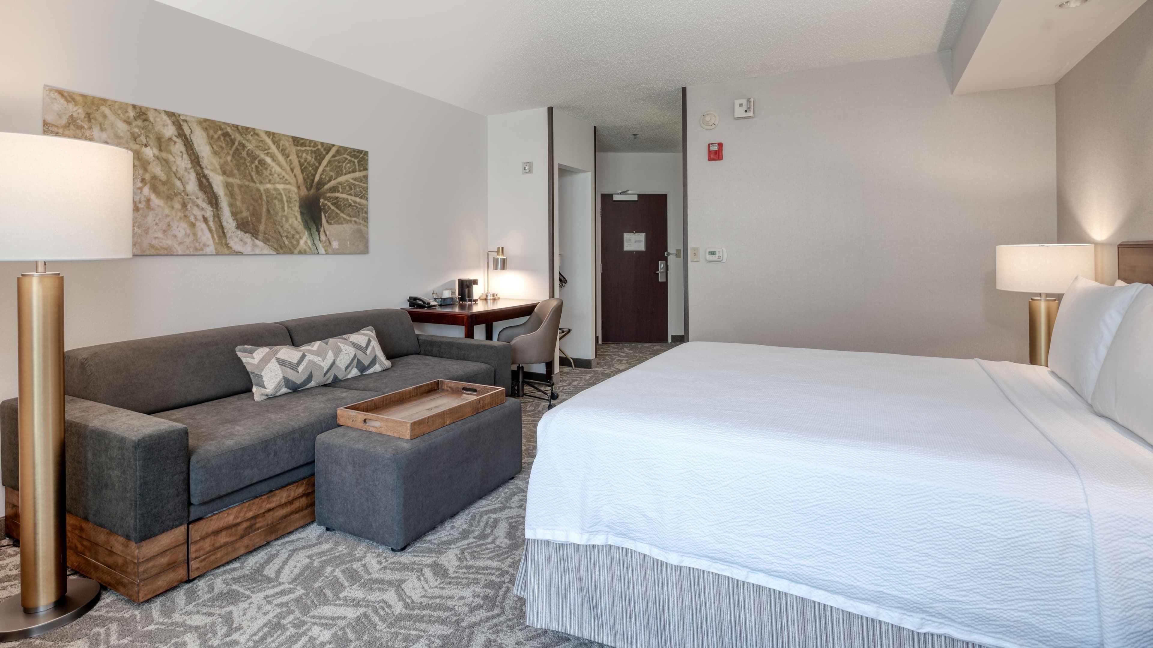 Suite - Image 1