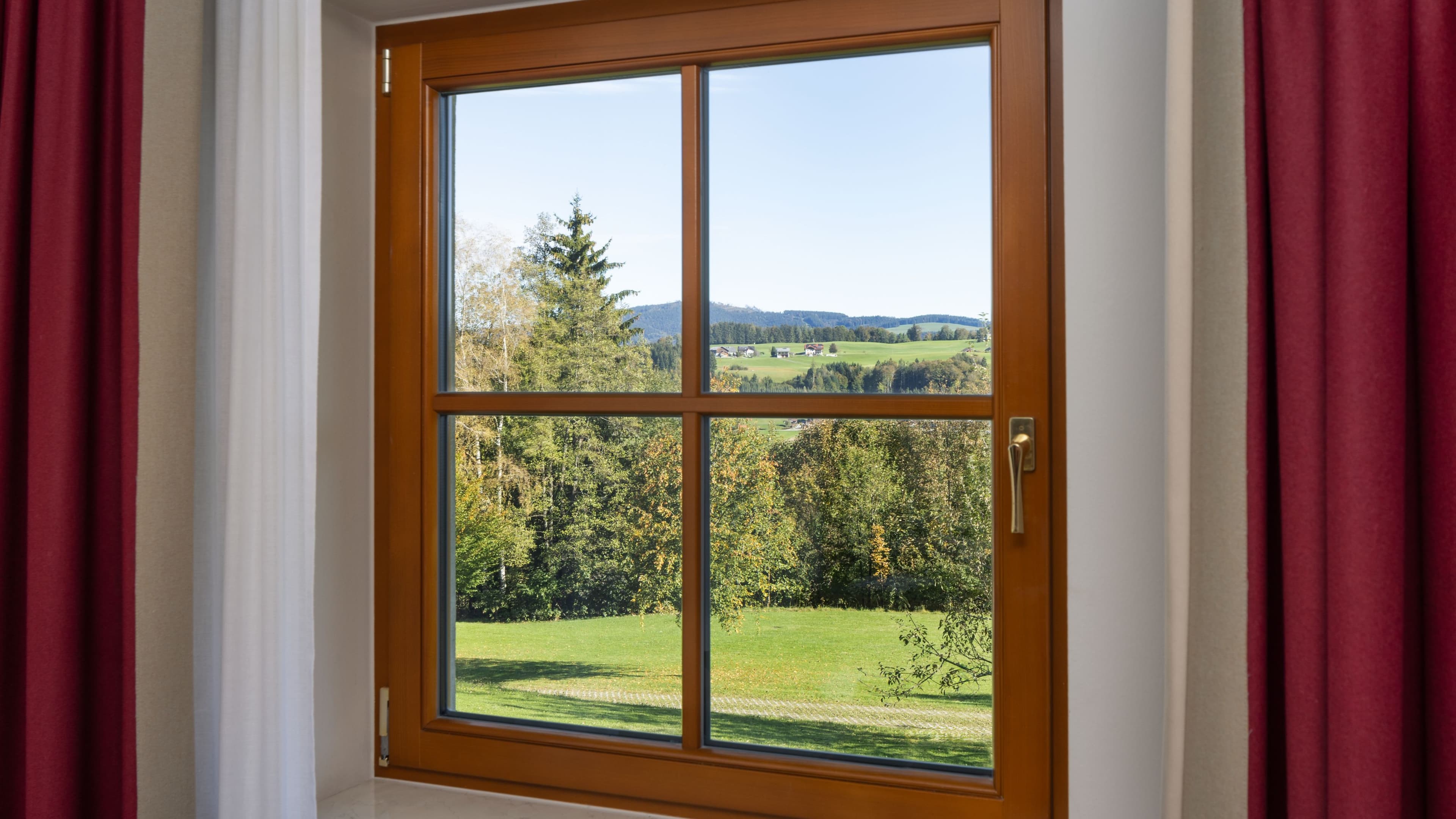 Comfort - Image 12