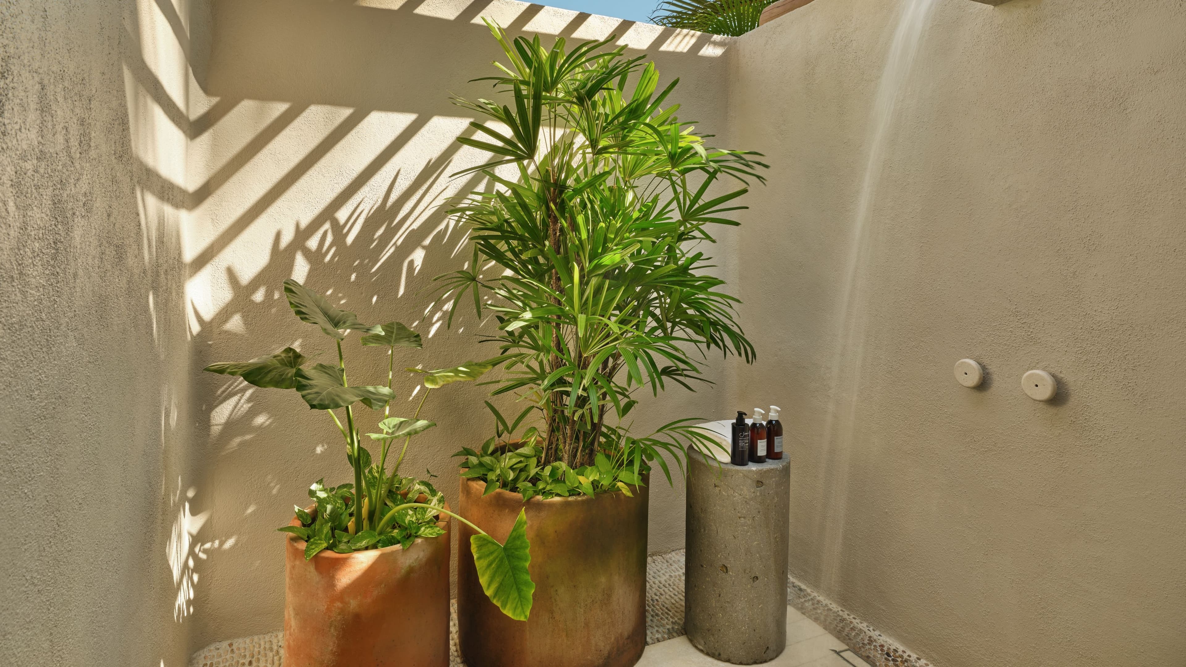 Casita - Image 7